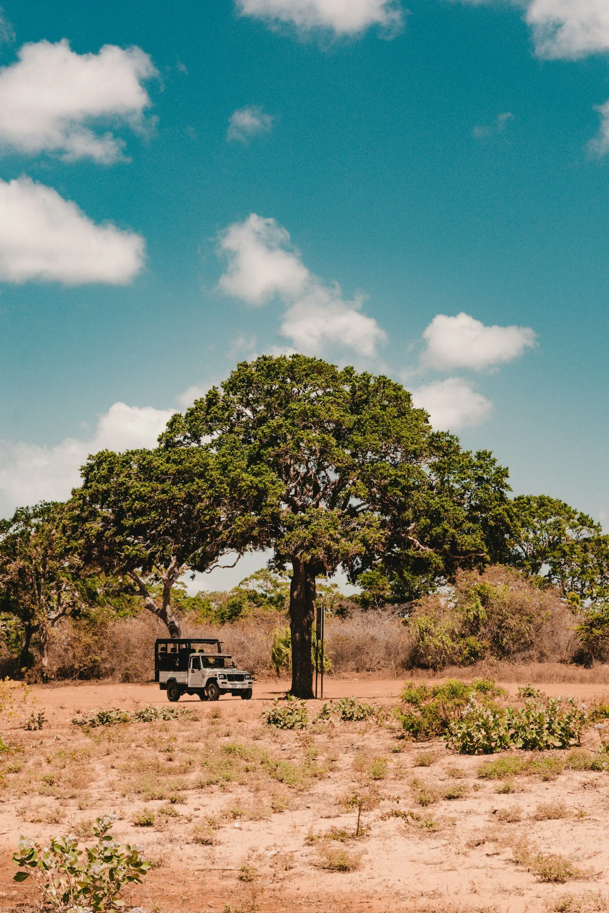 Mahindra safari jeep under a big tree in dry-zone scrub, Sri Lanka