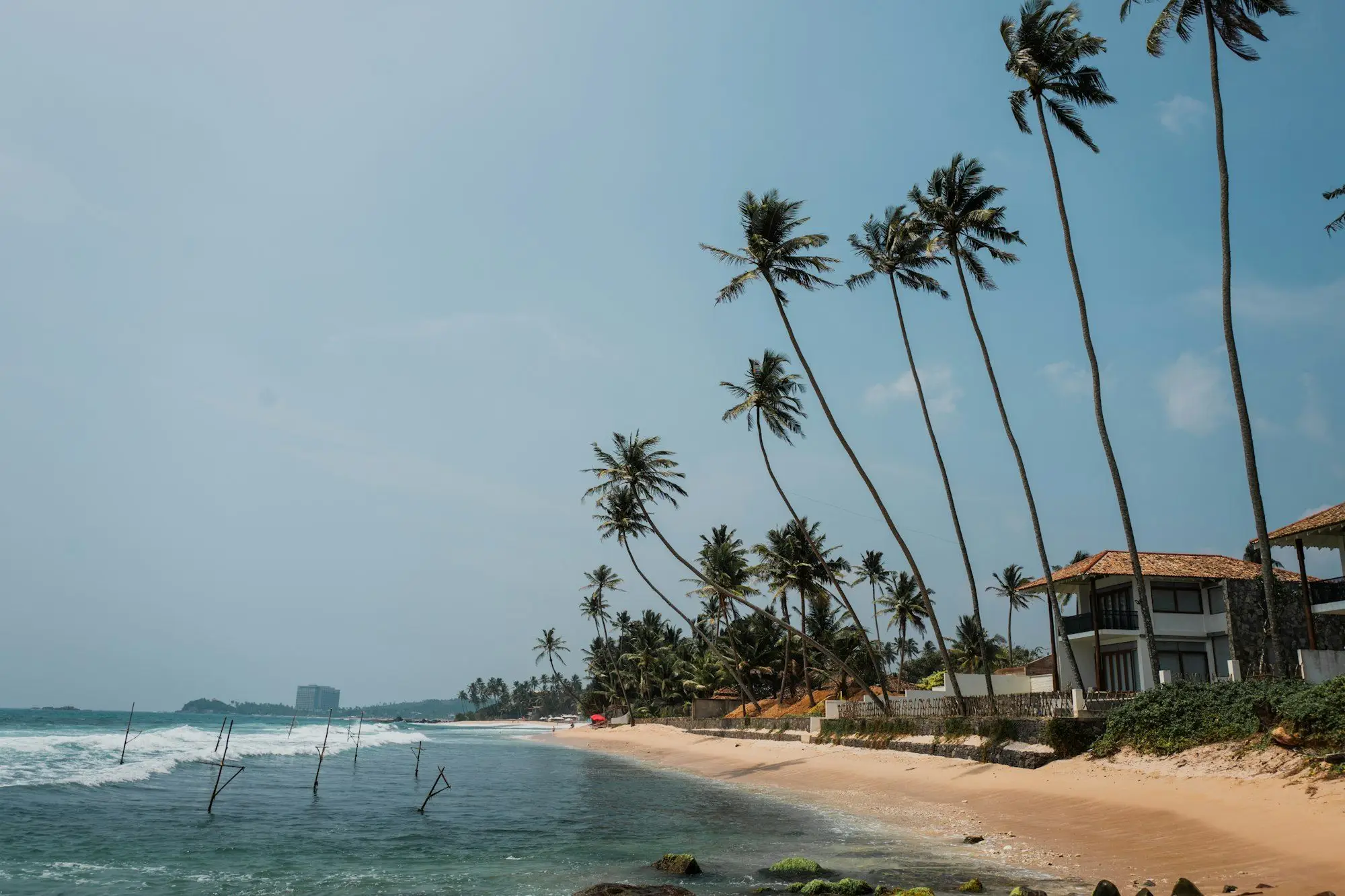 Palm-lined south-coast beach with stilt-fishing poles
